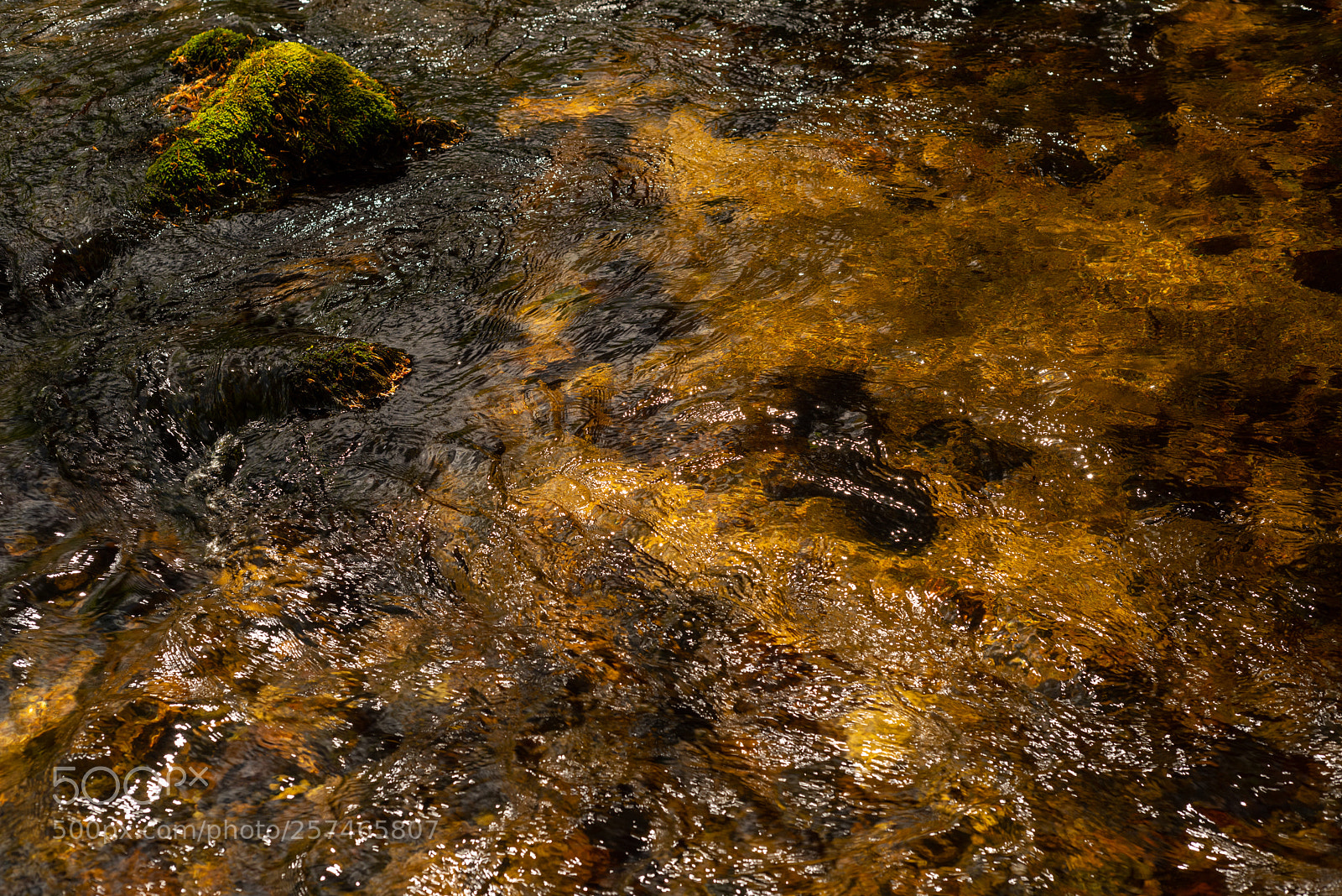 Nikon D810 sample photo. Golitha falls xlx photography