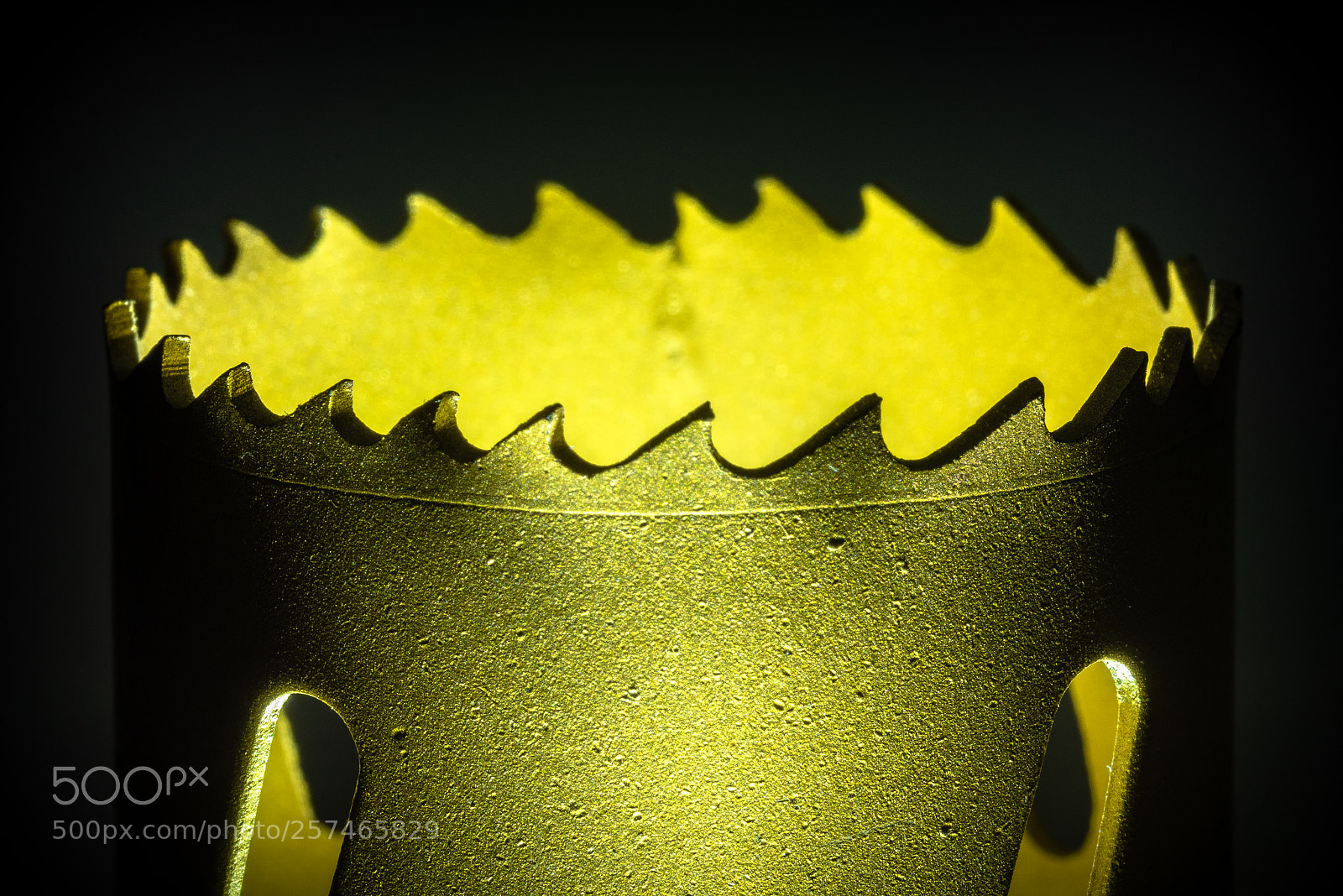Nikon D810 sample photo. Jagged around photography