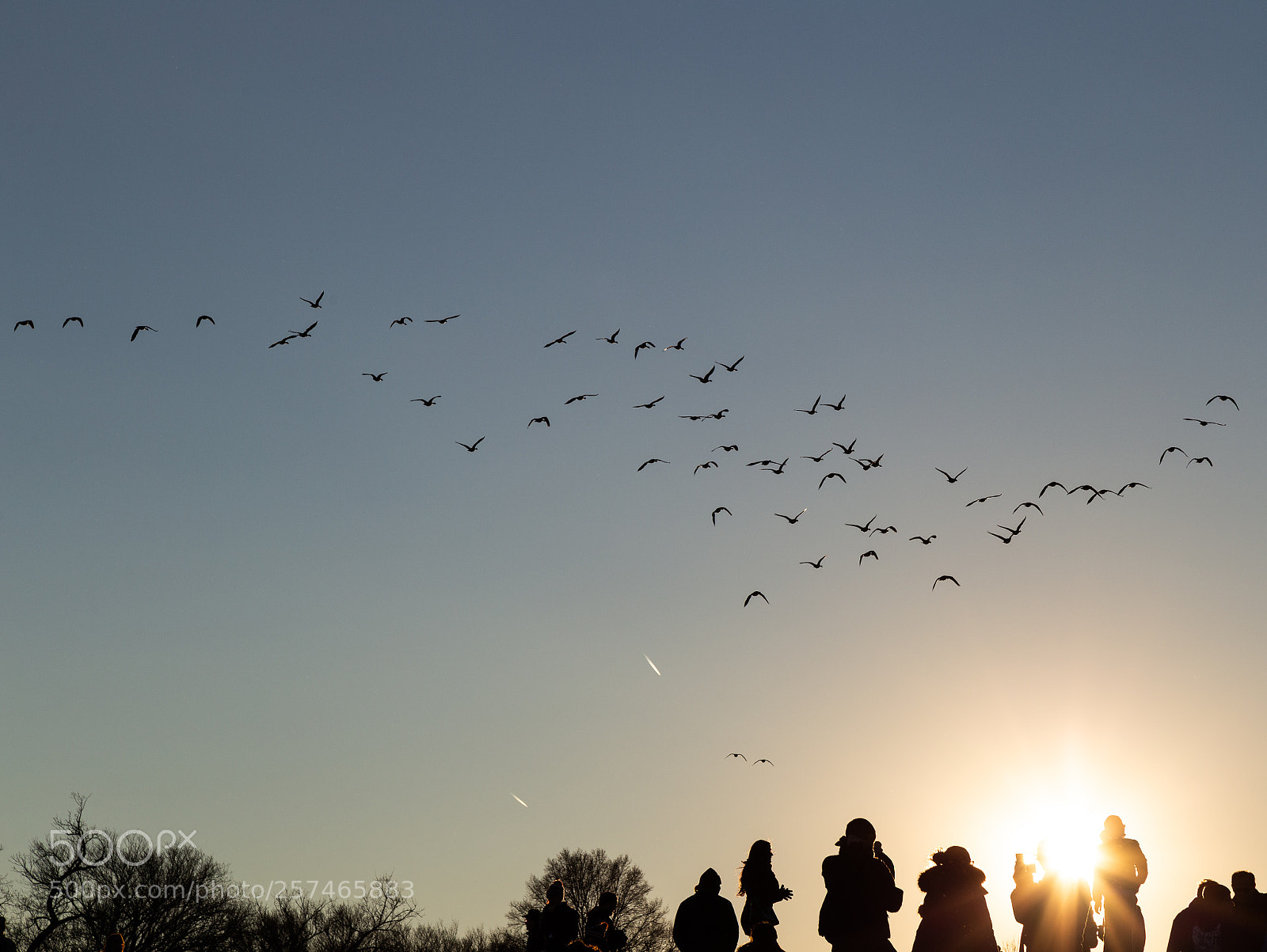 Canon EOS 6D sample photo. Flocking toward sunset photography