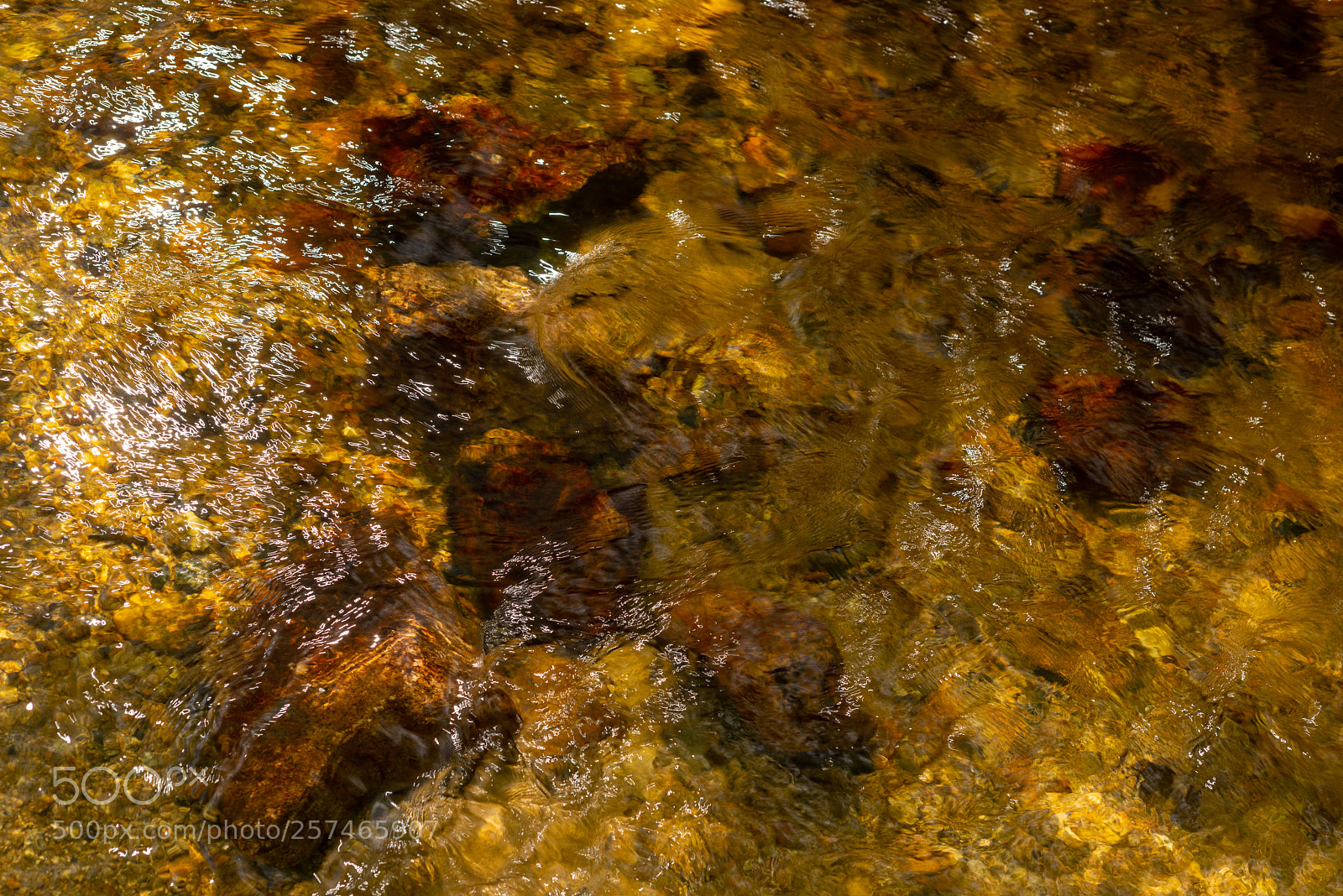 Nikon D810 sample photo. Golitha falls xx photography