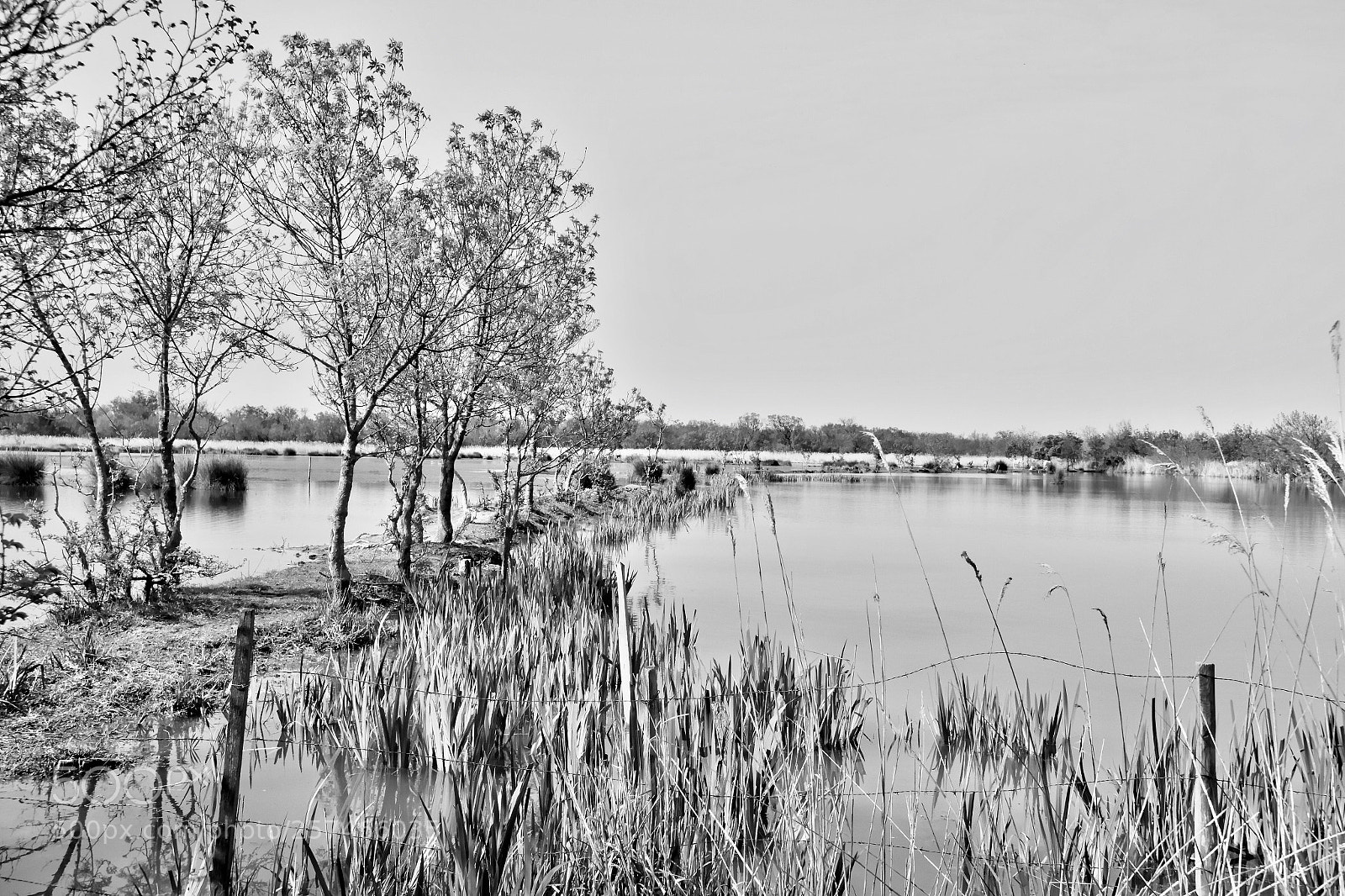 Canon EOS 7D sample photo. Untitled photography