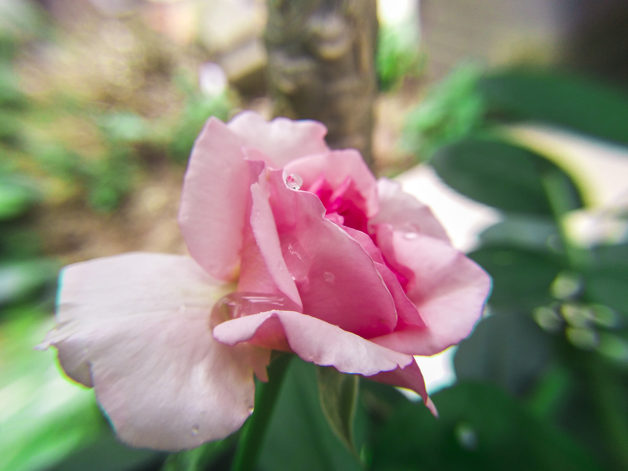 vivo X9 sample photo