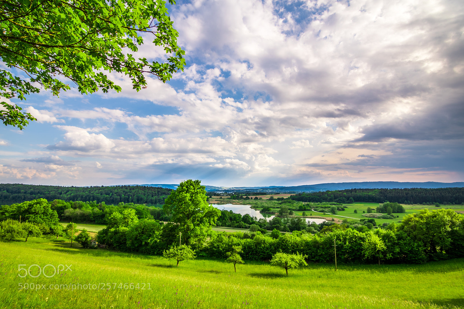 Canon EOS 760D (EOS Rebel T6s / EOS 8000D) sample photo. Mindelsee-view2 photography