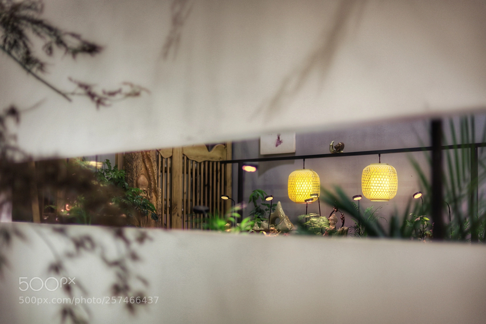 Canon EOS 6D Mark II sample photo. Untitled photography