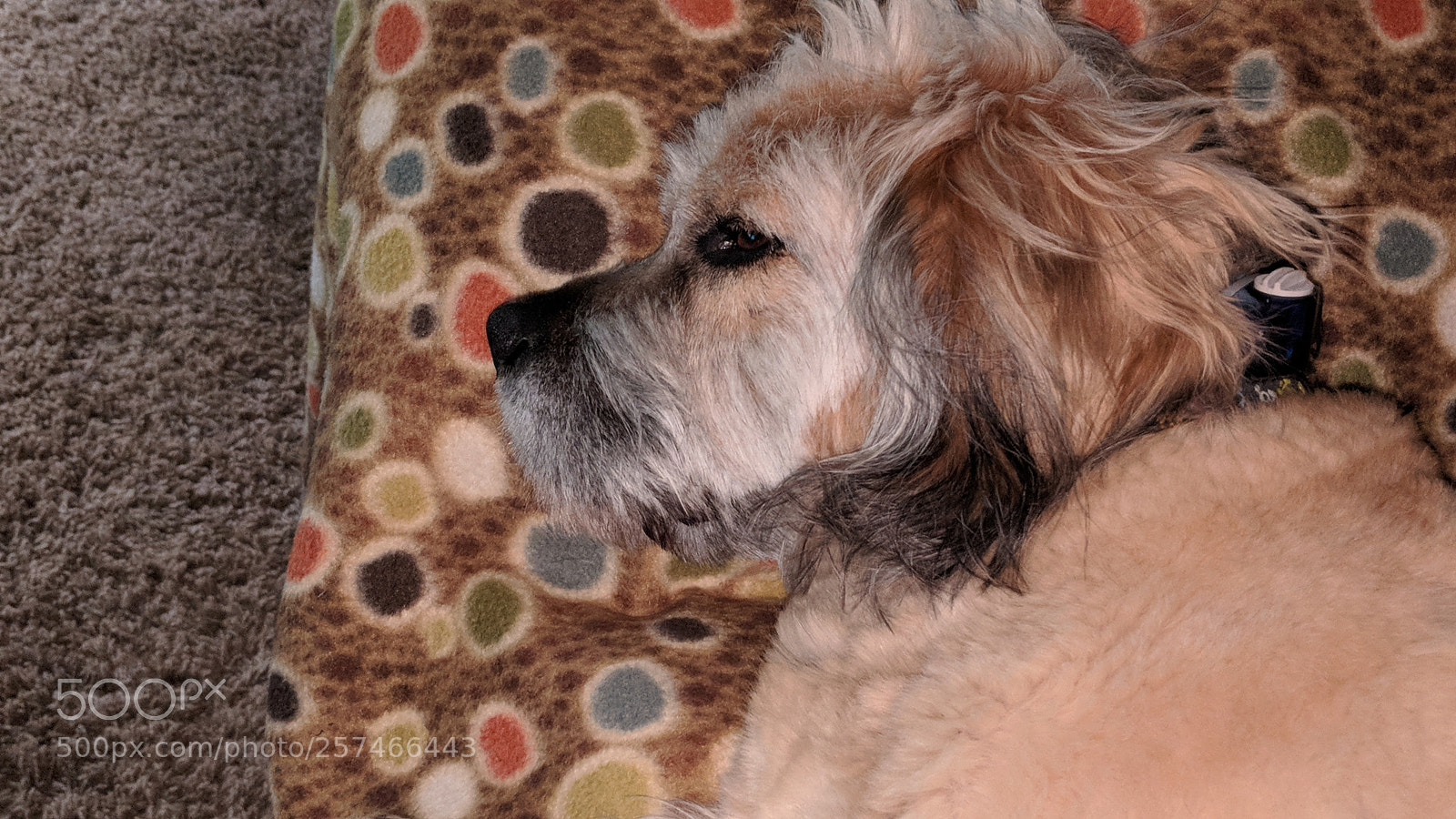 Google Pixel 2 XL sample photo. Pete naps photography