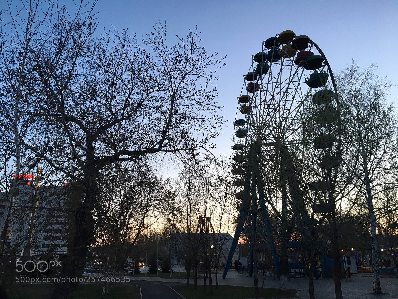 Apple iPhone 6s sample photo. Slender mans photography