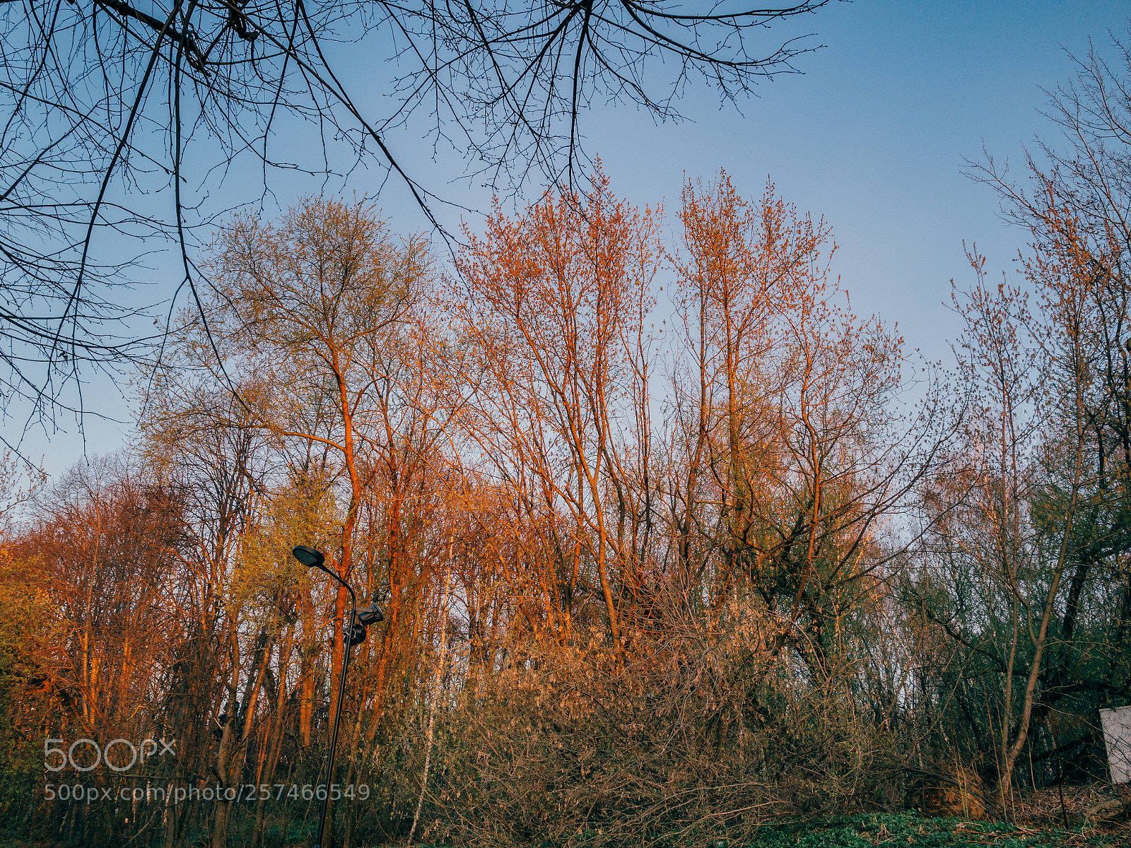 Olympus OM-D E-M10 II sample photo. The autumn photography