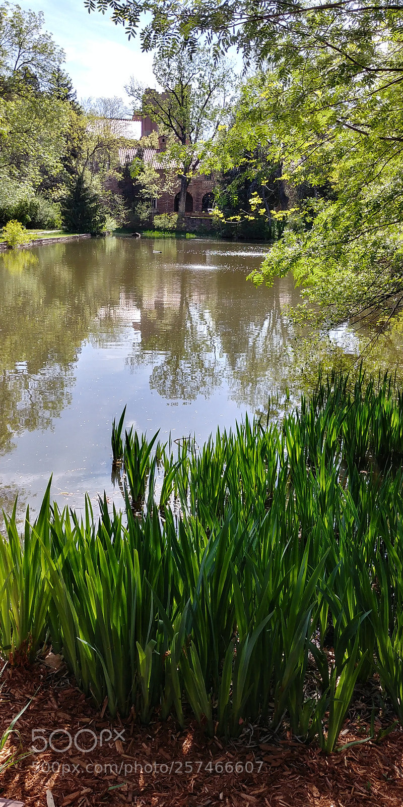 LG G6 sample photo. Peaceful panorama at cu photography