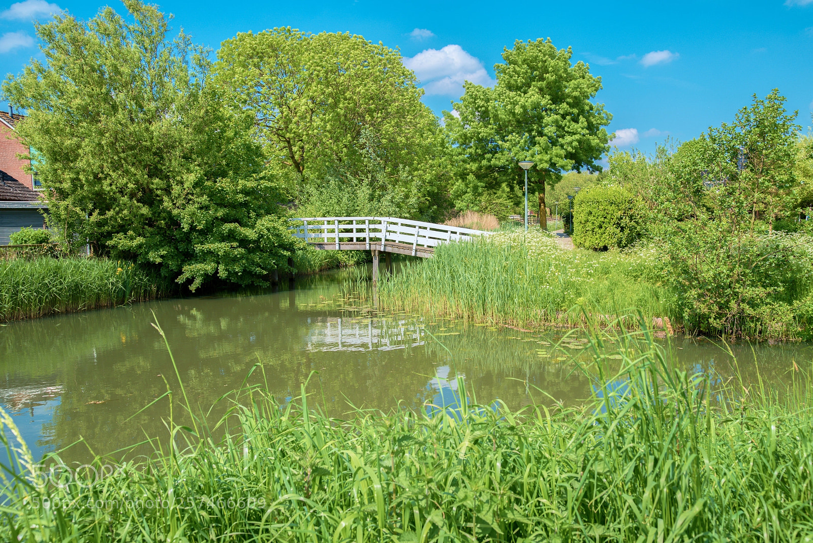 Nikon D750 sample photo. Sunny day. photography