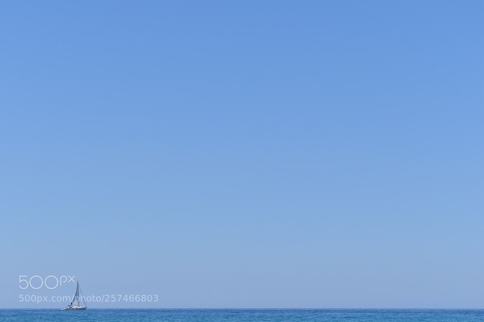 Nikon D5500 sample photo. Blue photography