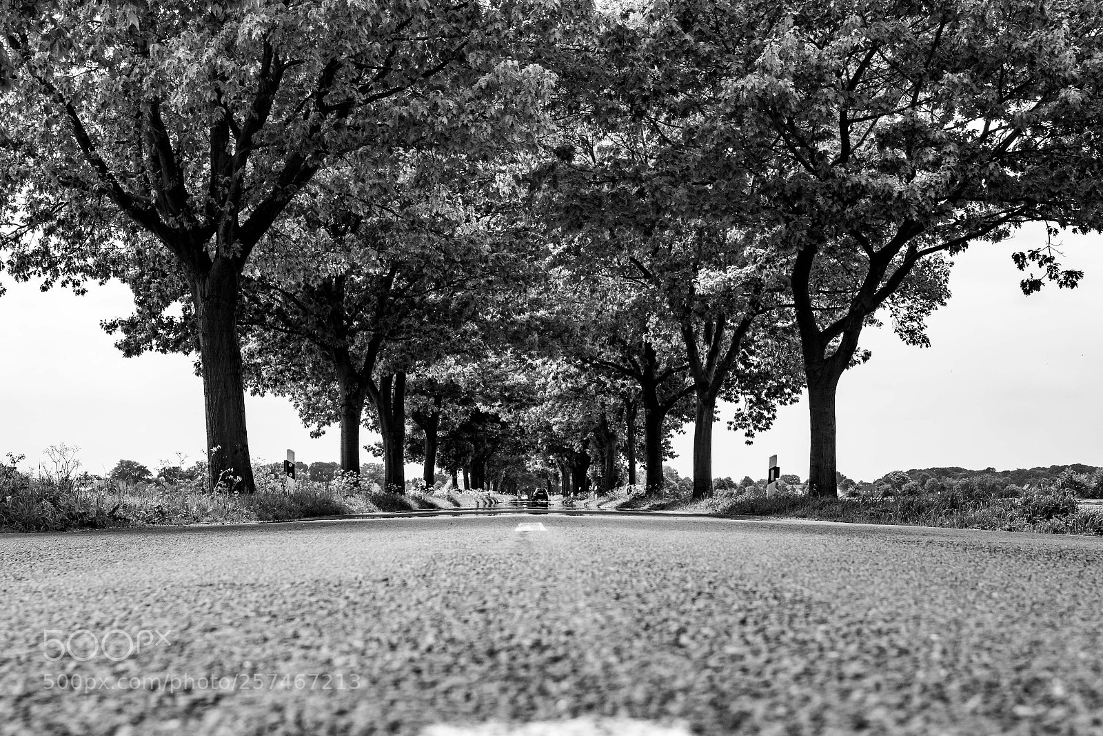 Canon EOS 7D Mark II sample photo. Straße photography