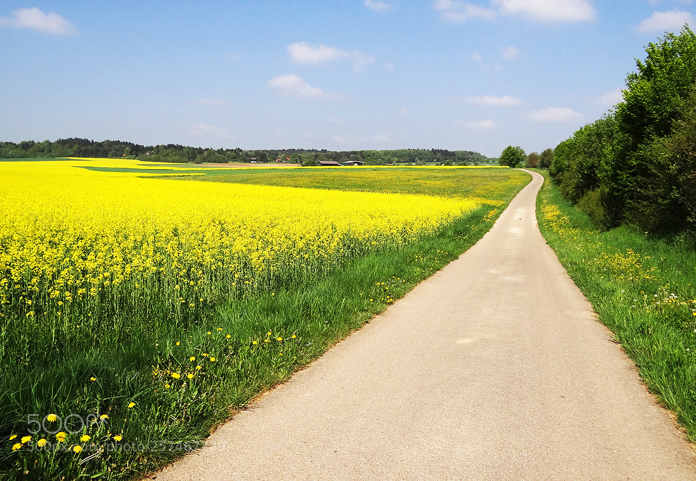 Sony Cyber-shot DSC-HX100V sample photo. Germany country roads photography
