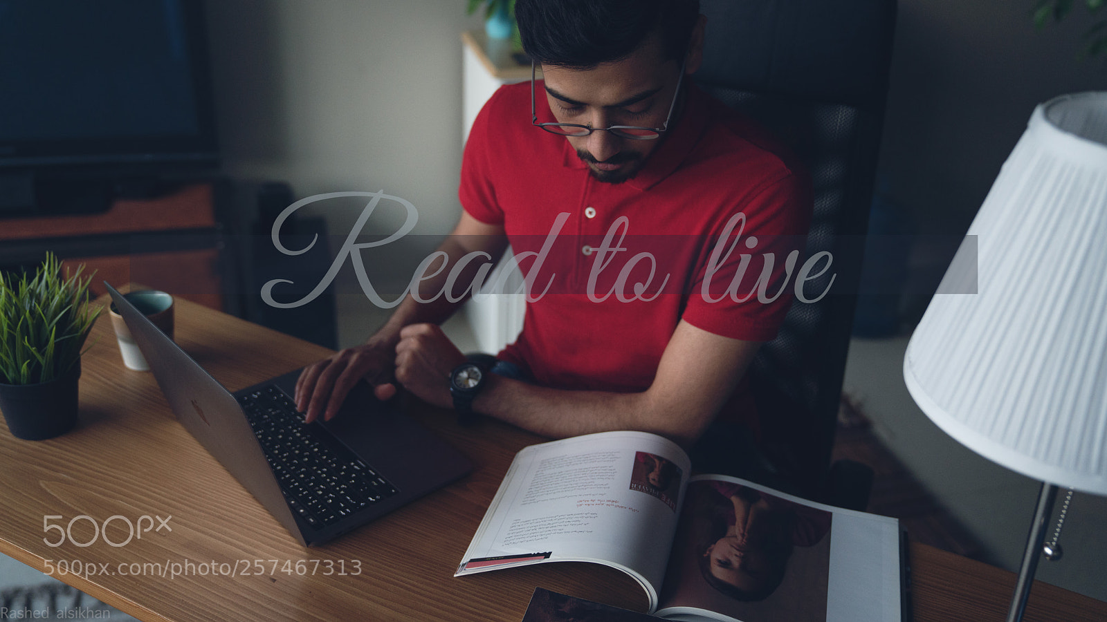 Sony a7R II sample photo. Copy photography