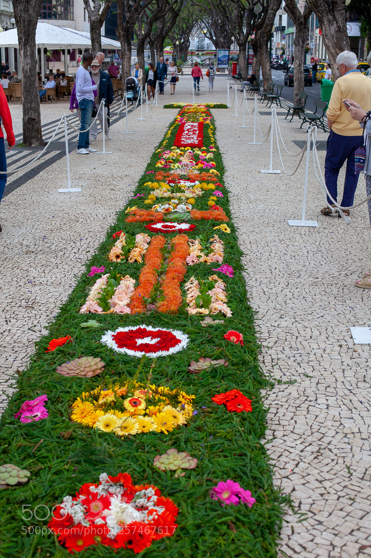 Canon EOS 5D Mark II sample photo. Madeira flower festival 2018 – funchal photography