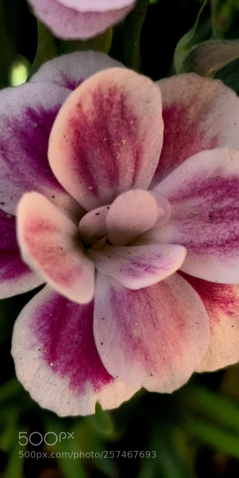 HUAWEI Mate 10 Pro sample photo. Untitled photography