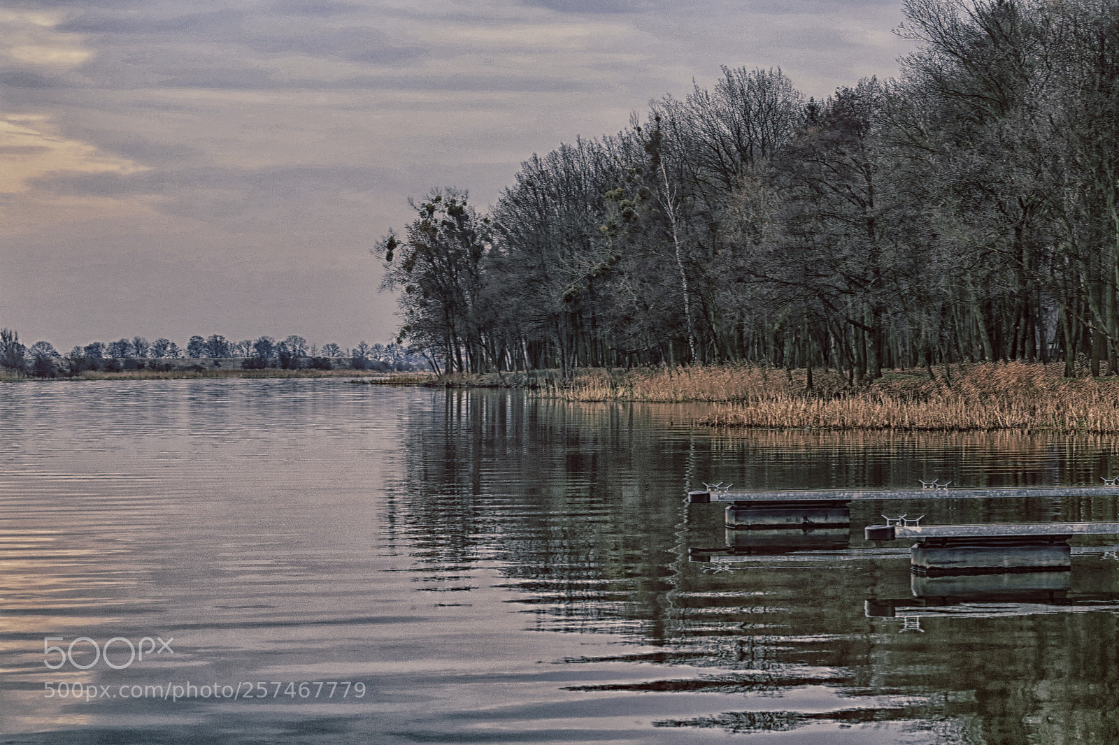 Canon EOS 6D sample photo. Malbork port photography