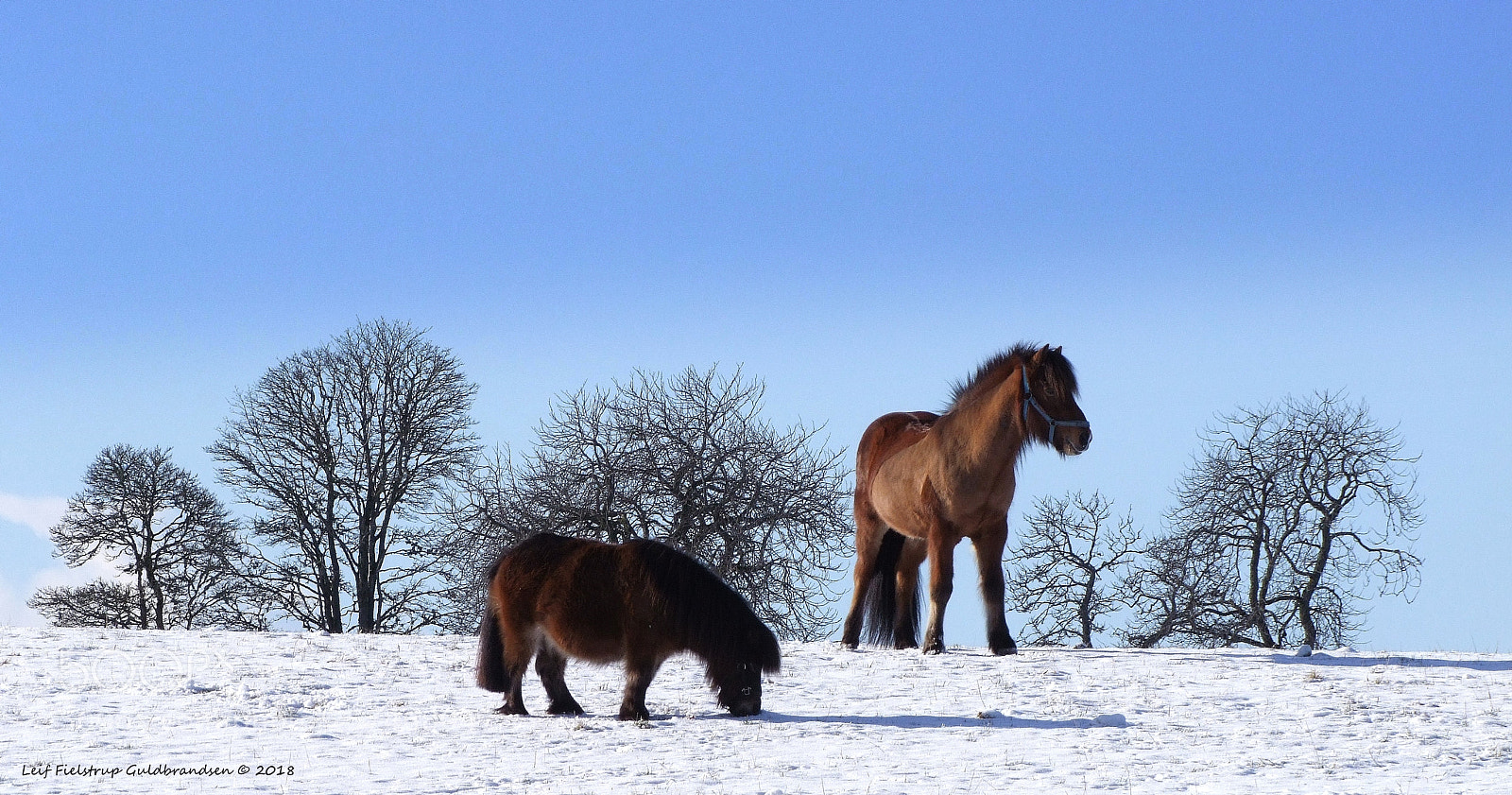 Fujifilm FinePix S100fs sample photo. Ekholmen, dals rostock. 13.feb.2018. photography