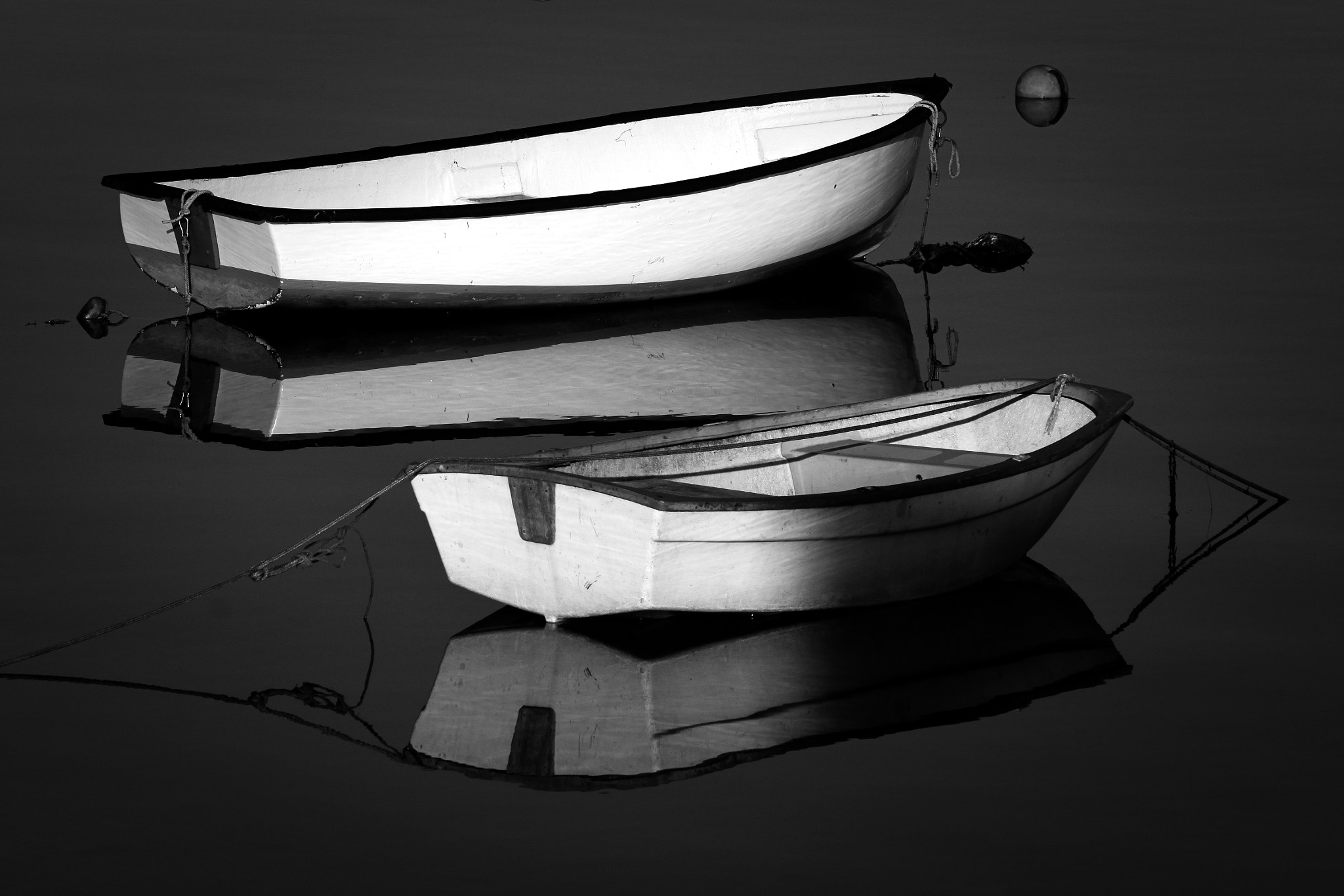 Canon EOS 500D (EOS Rebel T1i / EOS Kiss X3) sample photo. Black and white photography