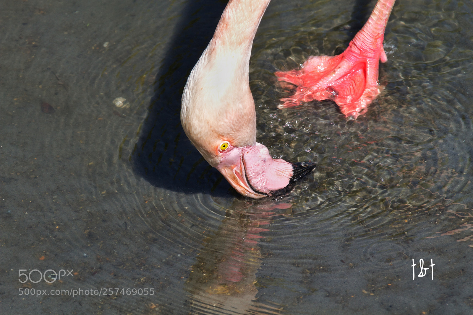 Canon EOS 7D sample photo. Untitled photography