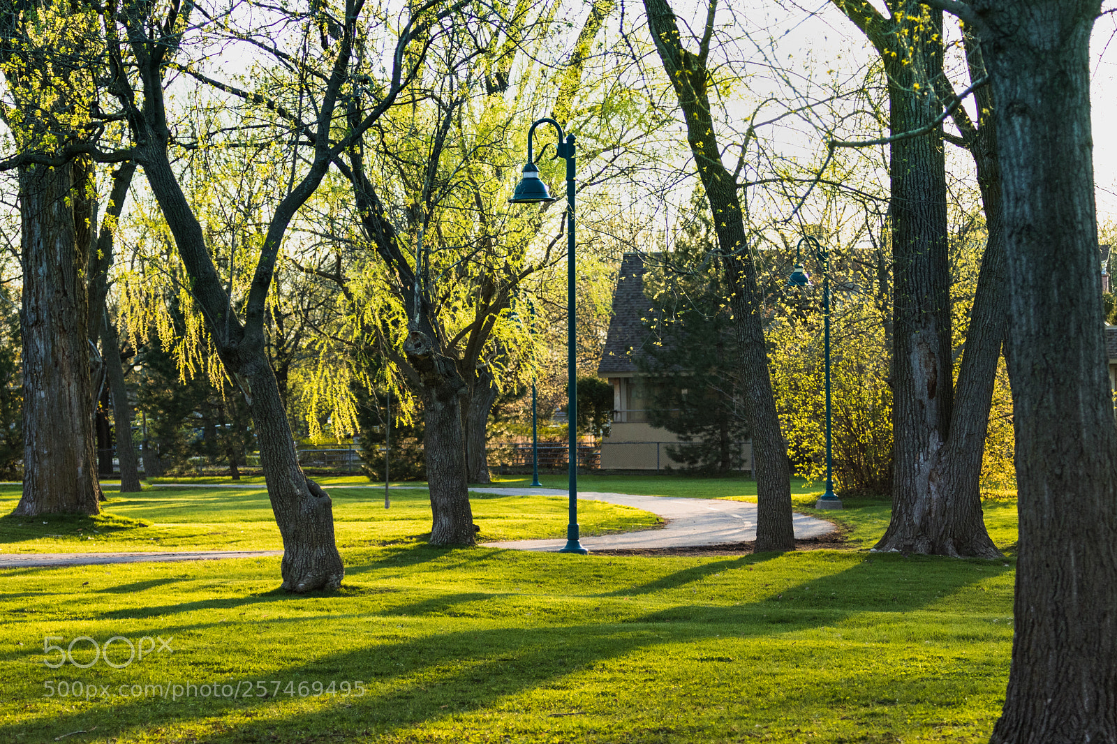 Canon EOS 800D (EOS Rebel T7i / EOS Kiss X9i) sample photo. City park in spring photography