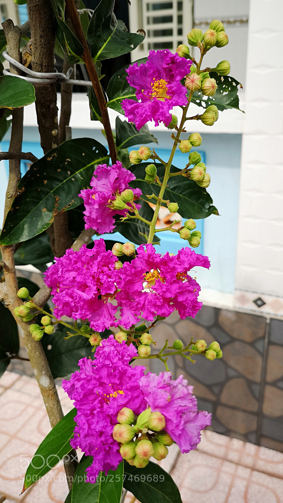 HUAWEI CLT-L29 sample photo. Fresh photography
