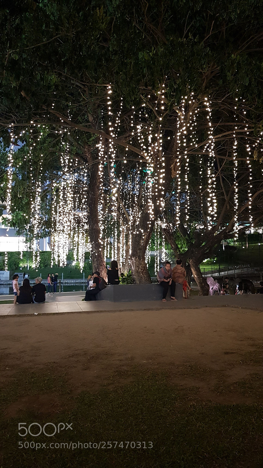Samsung Galaxy S8+ sample photo. Light up the park photography