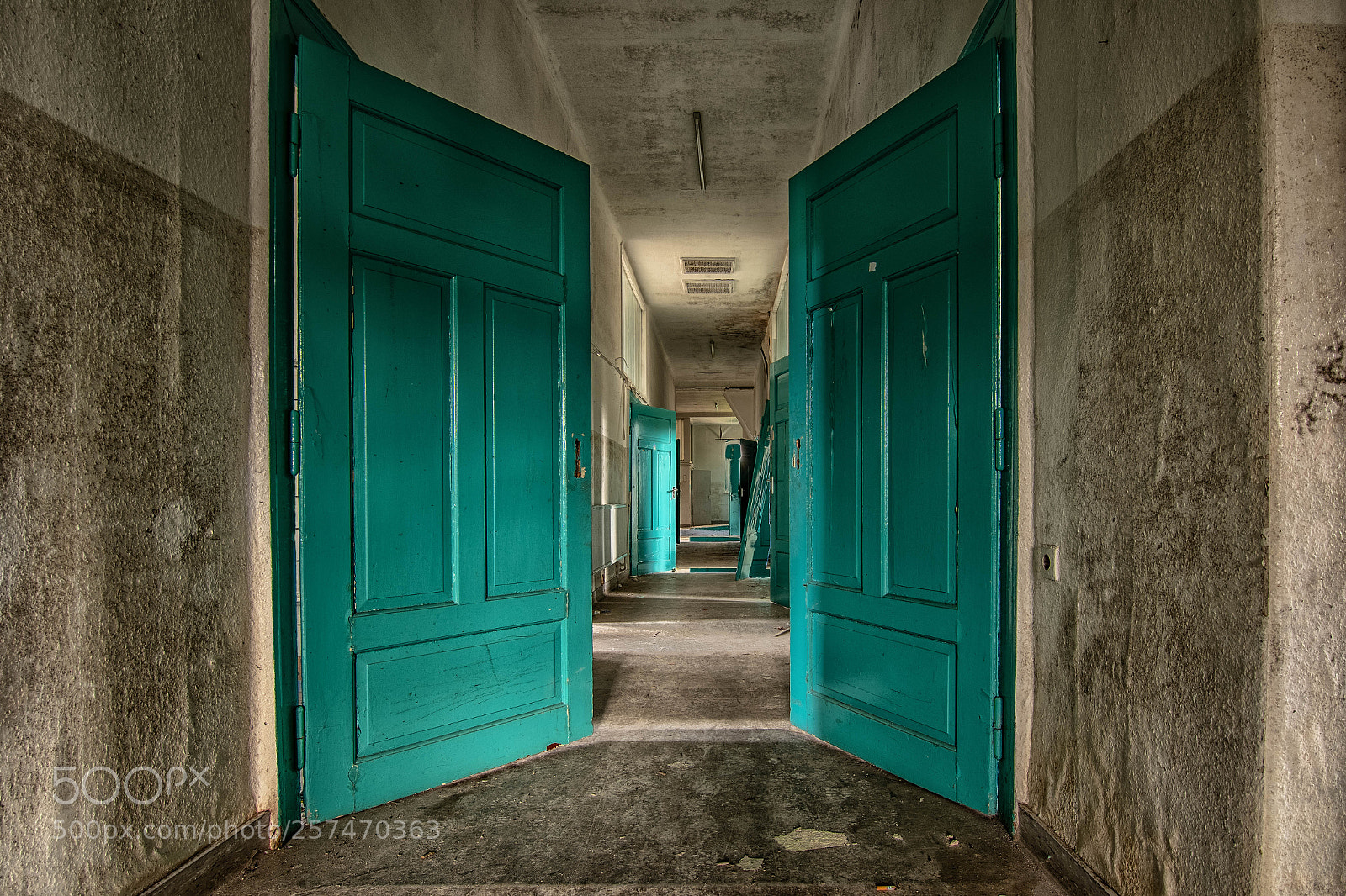Nikon D500 sample photo. The green doors photography