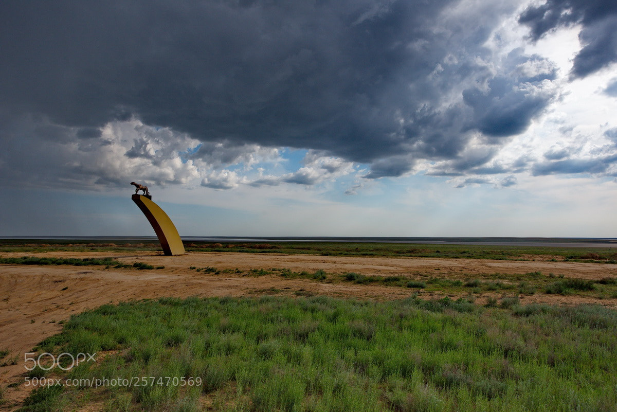 Nikon D750 sample photo. West kazakhstan. photography