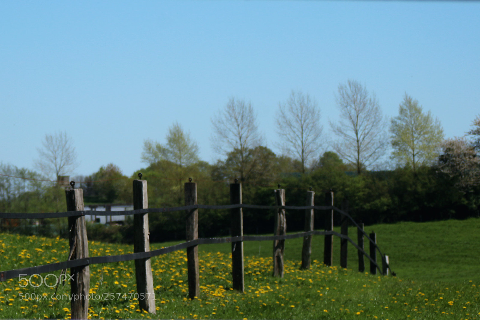 Canon EOS 100D (EOS Rebel SL1 / EOS Kiss X7) sample photo. A wooden fence photography
