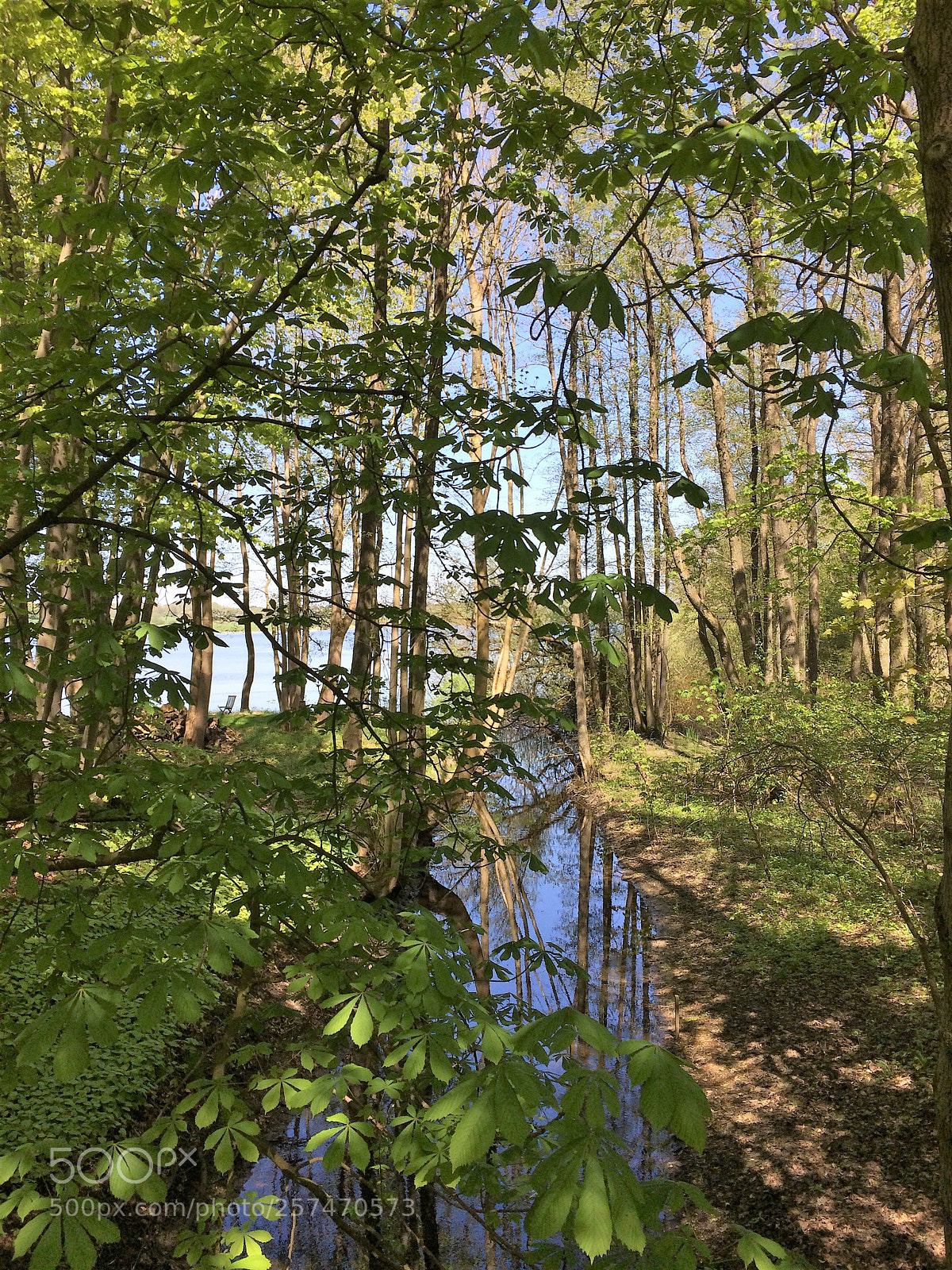 Apple iPhone 5s sample photo. A creek mouth photography