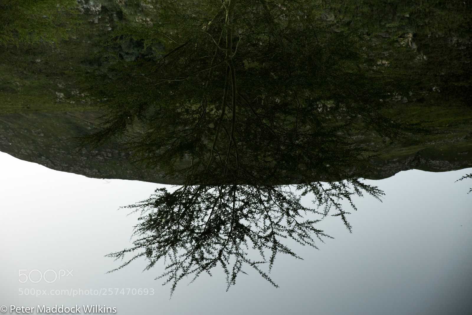 Canon EOS 6D sample photo. Reflections photography
