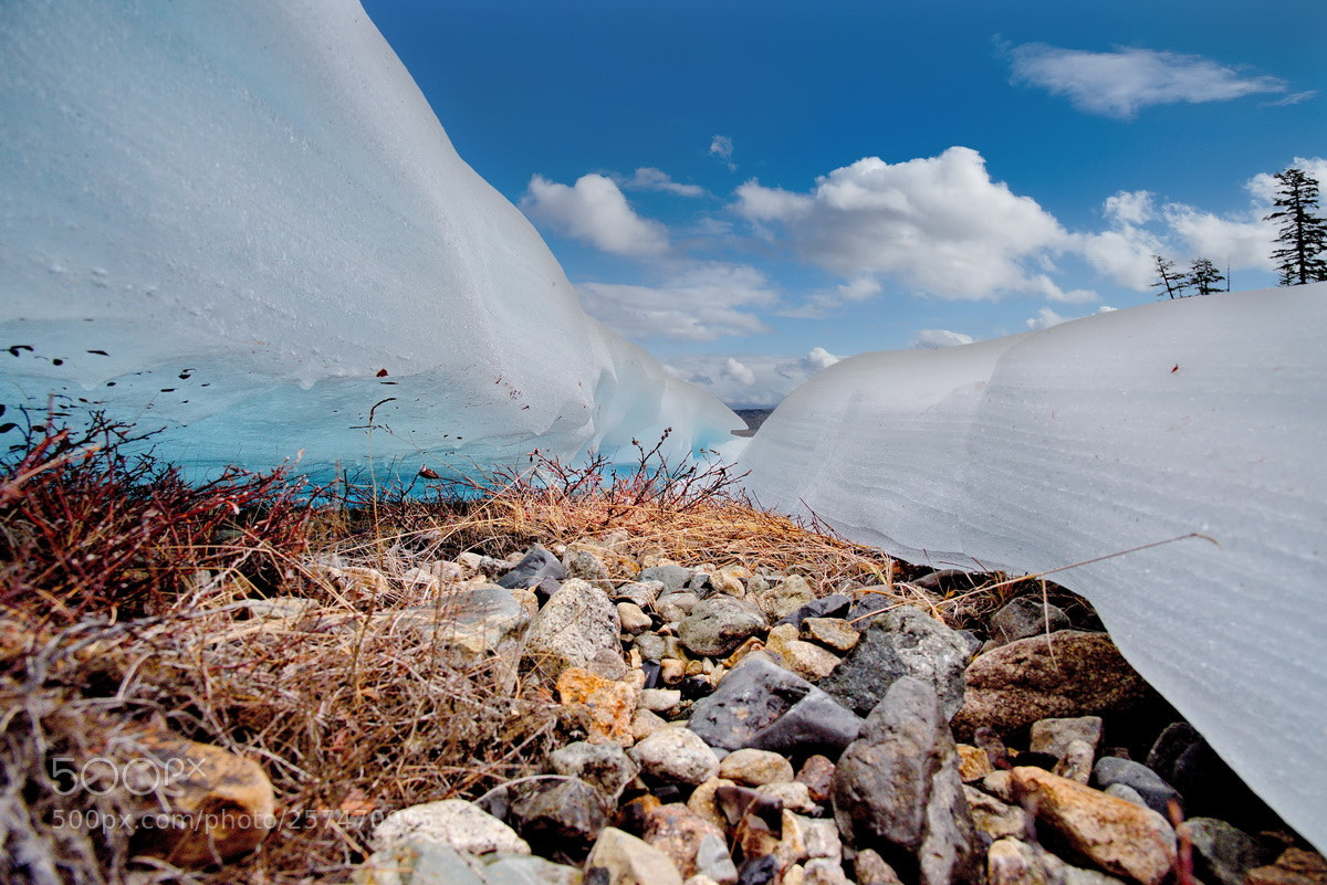 Nikon D750 sample photo. Russia. the summer ice photography