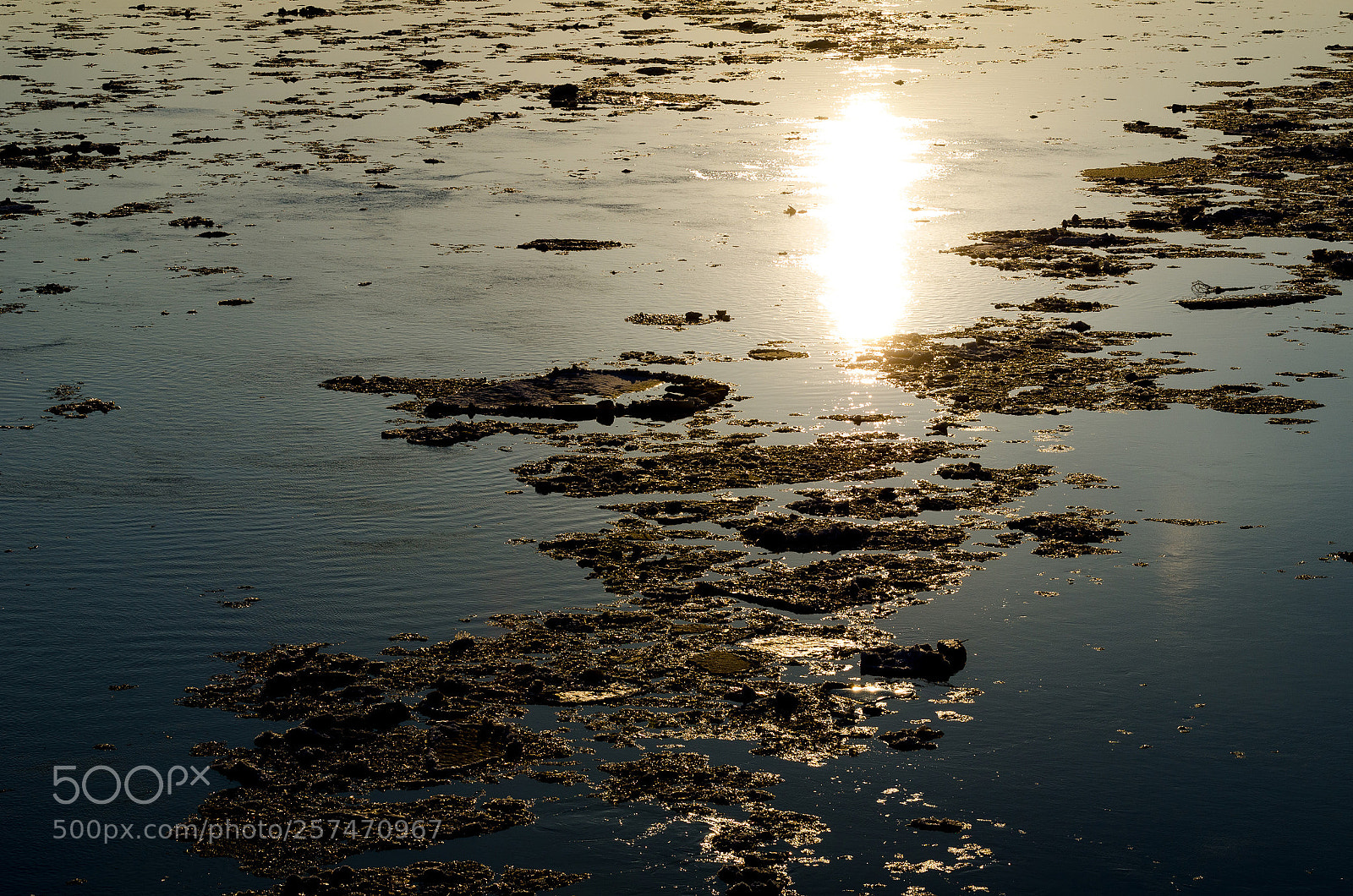 Nikon D7000 sample photo. Ice photography