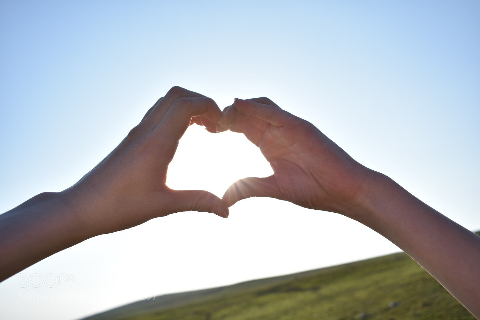 Nikon D3400 sample photo. Heart photography