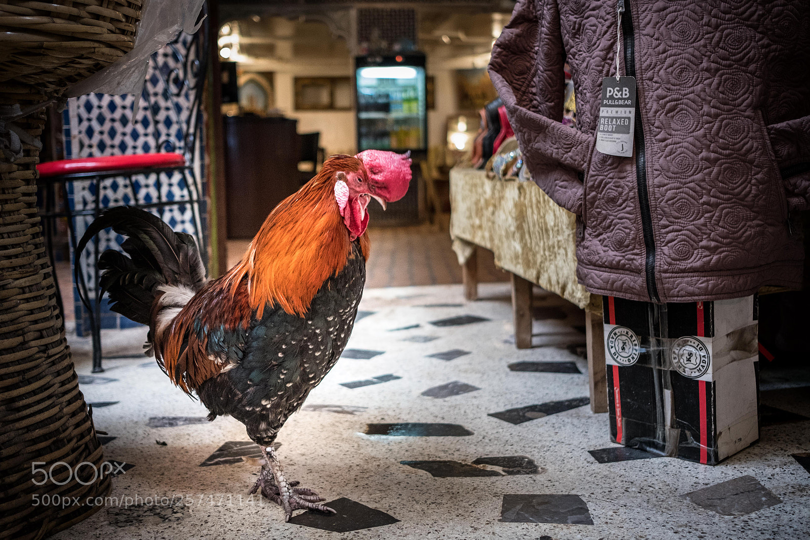 Fujifilm X-T2 sample photo. Elvis photography