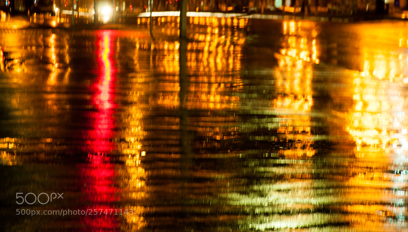 Nikon D5000 sample photo. Spring rain photography