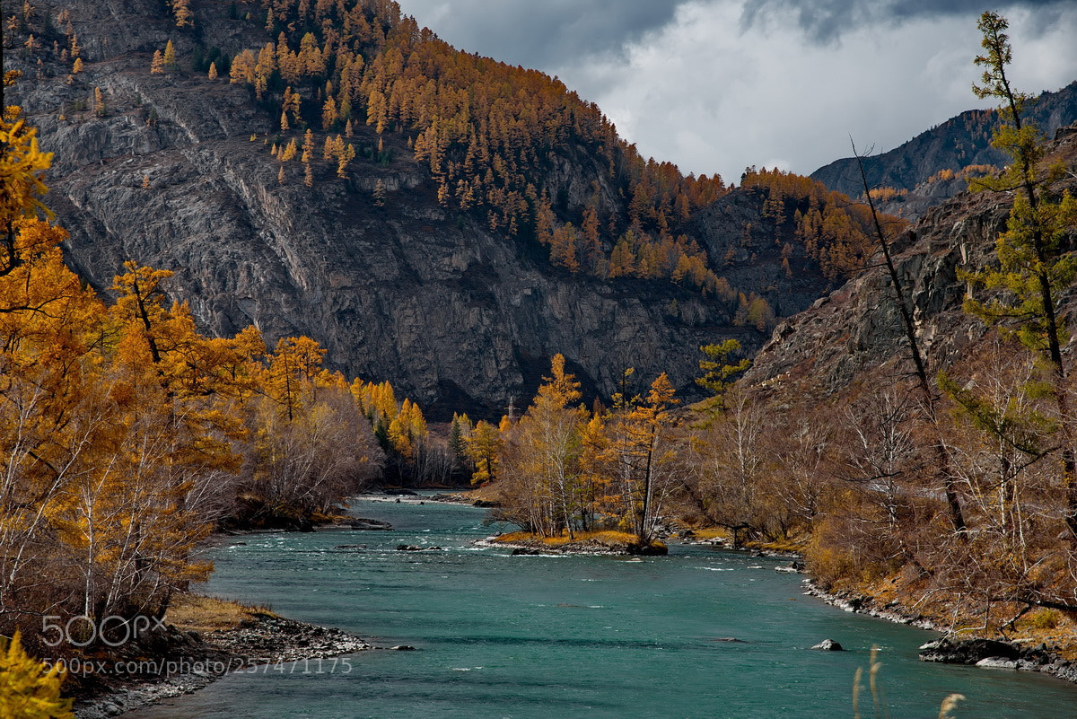 Nikon D750 sample photo. Russia. the south of photography