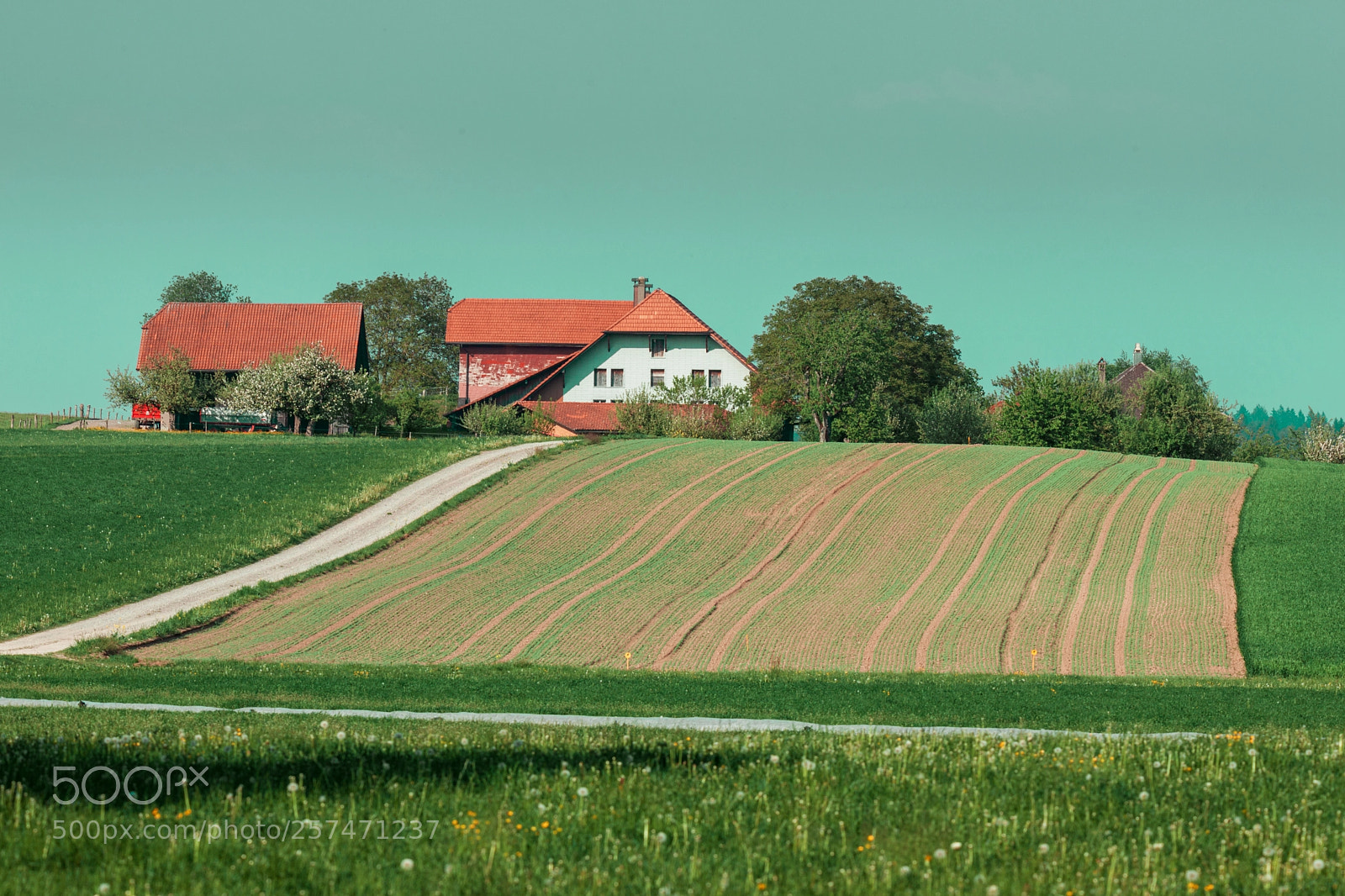 Canon EOS 5D Mark II sample photo. Country farm photography