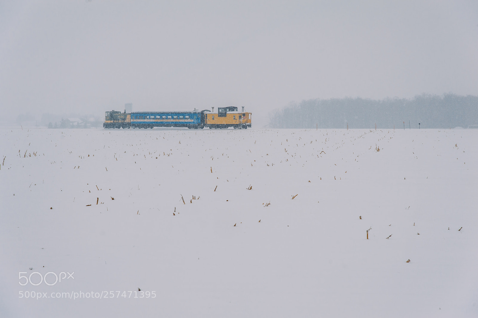 Nikon D700 sample photo. A train in the photography