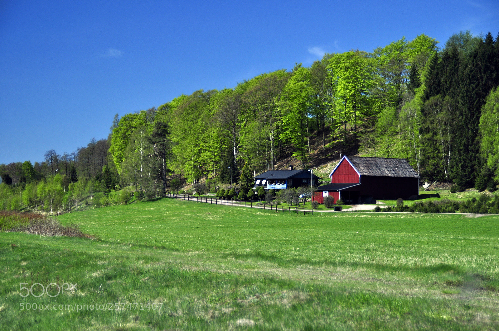 Nikon D5000 sample photo. V ren i sk photography