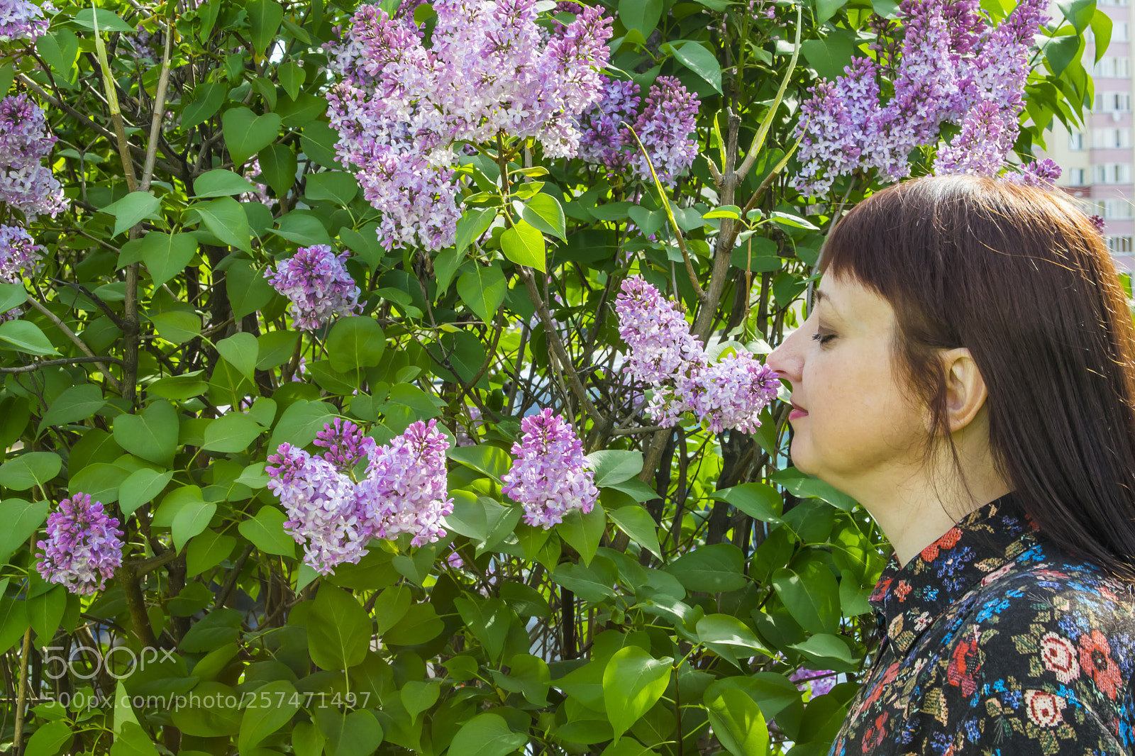 Nikon D5300 sample photo. Girl on the background photography
