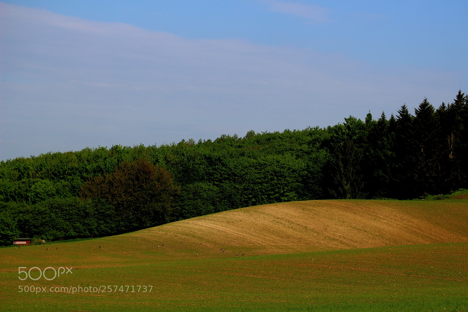 Canon EOS 100D (EOS Rebel SL1 / EOS Kiss X7) sample photo. Landscape of holstein switzerland photography