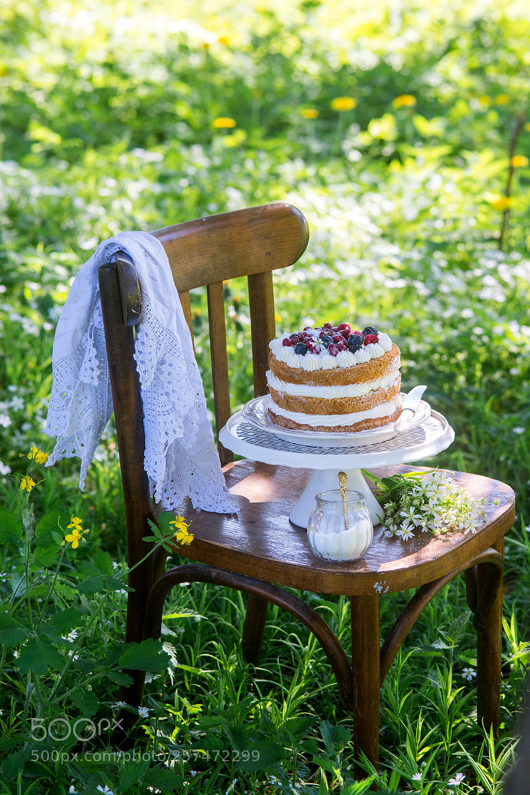 Nikon D600 sample photo. Cake in a garden photography