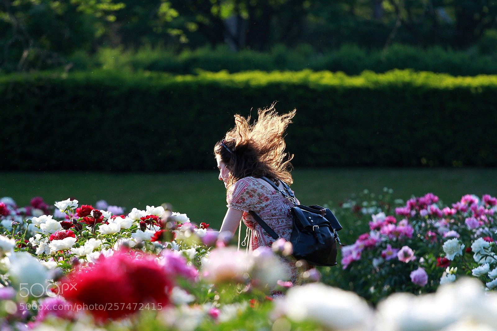 Canon EOS 7D sample photo. Spring flowers photography