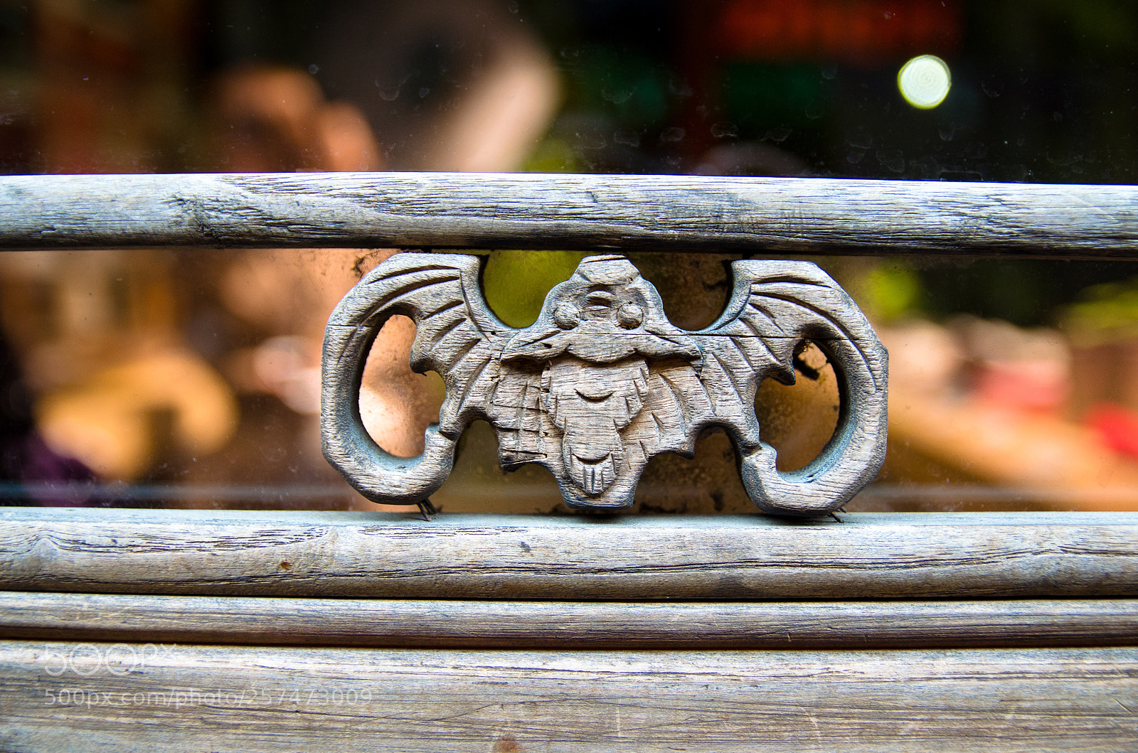 Nikon D5100 sample photo. Fu photography