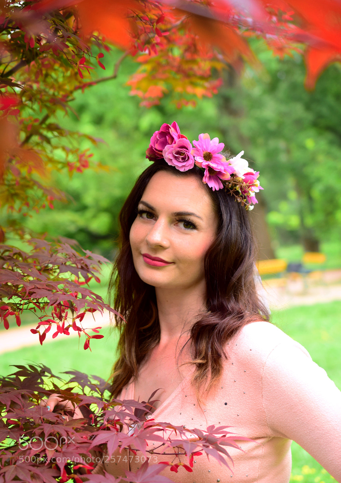 Nikon D5300 sample photo. Terka photography