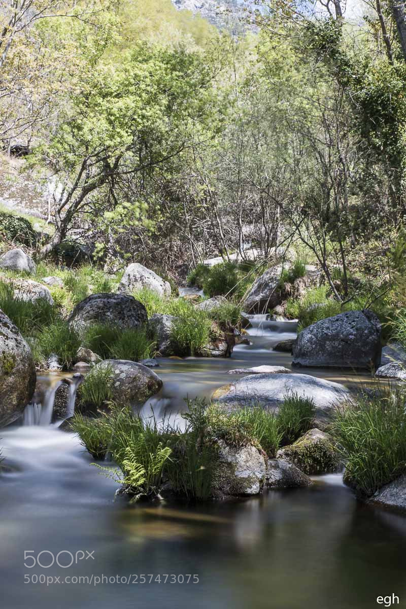 Canon EOS 70D sample photo. Rio (r) photography