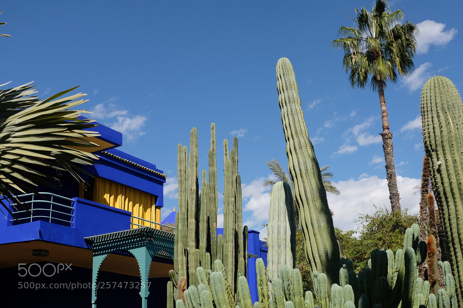 Fujifilm X100F sample photo. Blue 1 photography