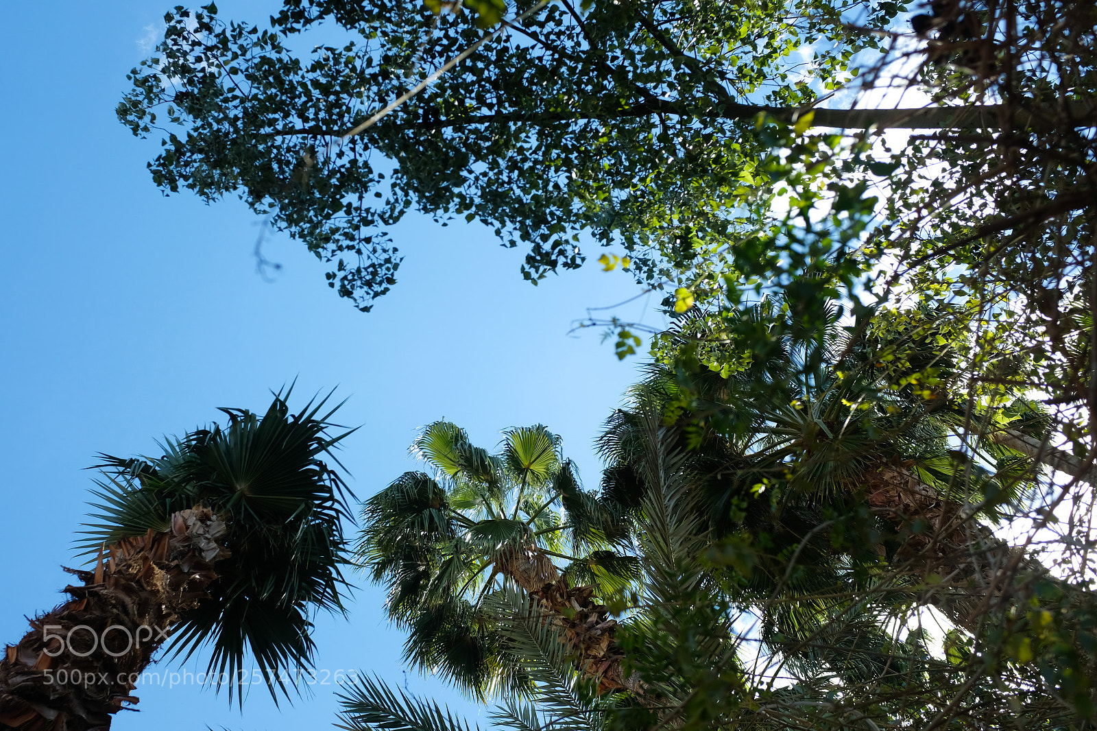Fujifilm X100F sample photo. Blue 3 photography