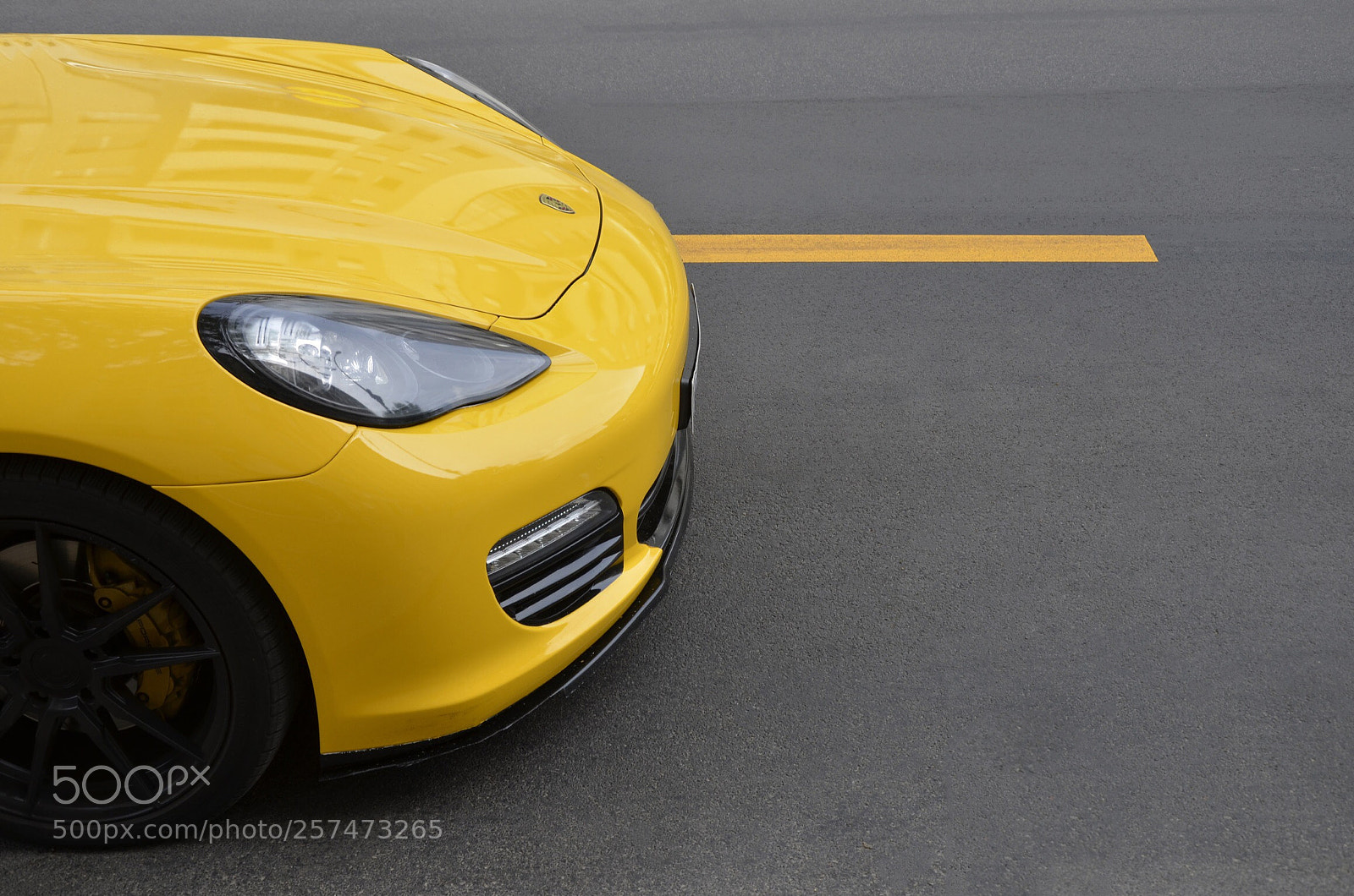 Nikon D7000 sample photo. Shiny nose photography
